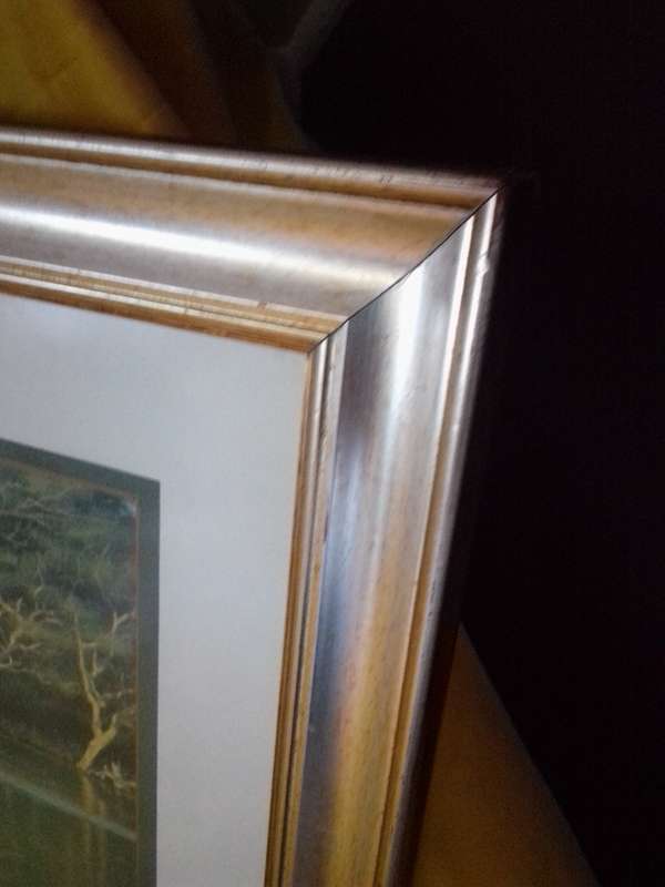 Stunning SA Artist Ronald Cook "Fish Eagle" Print Signed & Dated 89