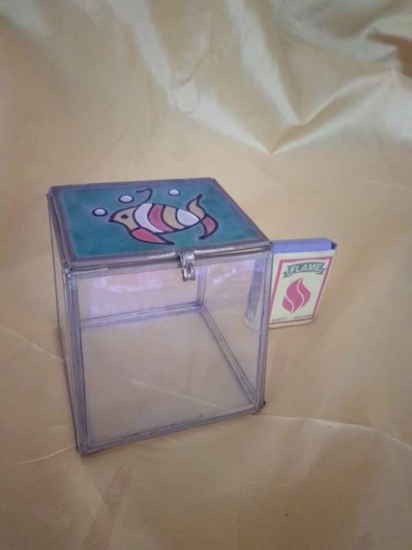 Odd Shaped Glass Display Box