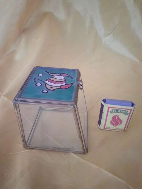 Odd Shaped Glass Display Box