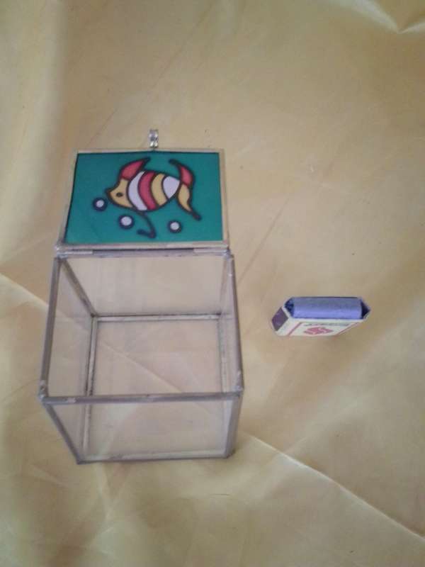 Odd Shaped Glass Display Box