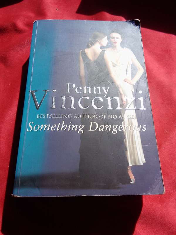 Something Dangerous - Penny Vincenzi 2001 Paperback