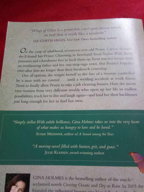Wings of Glass - Gina Holmes 2013 Paperback