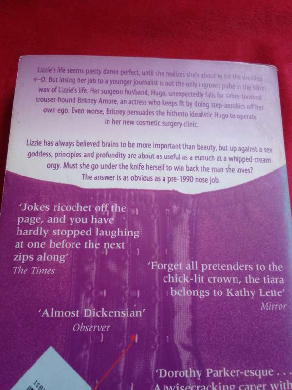 Nip n Tuck - Kathy Lette 2002 Paperback