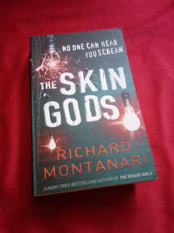 The Skin Gods - Richard Montanari 2007 Paperback