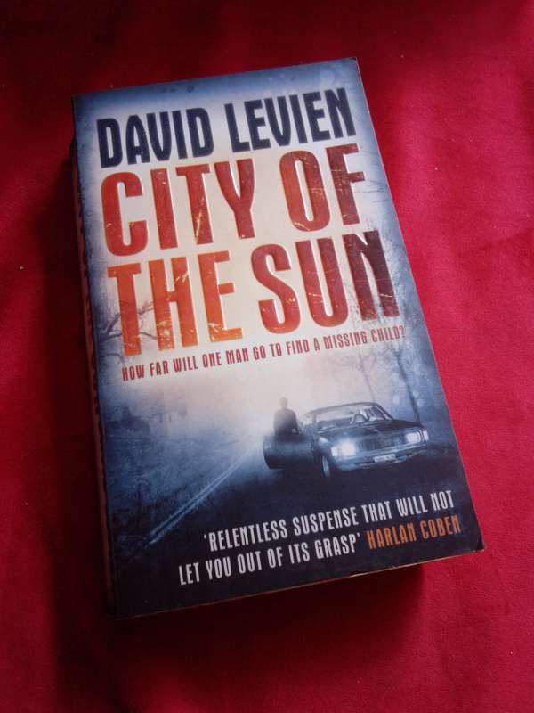 City of the Sun - David Levien 2009 Paperback