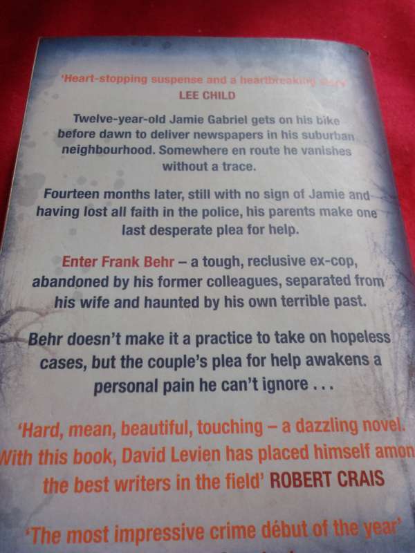 City of the Sun - David Levien 2009 Paperback