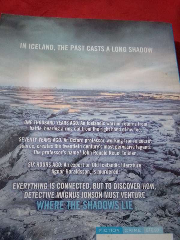 Where The Shadows Lie - Michael Ridpath 2010 Softcover