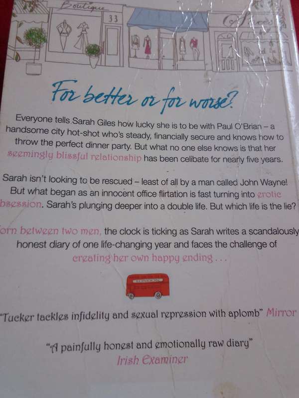 The Last Year of being Single - Sarah Tucker 2003 Paperback