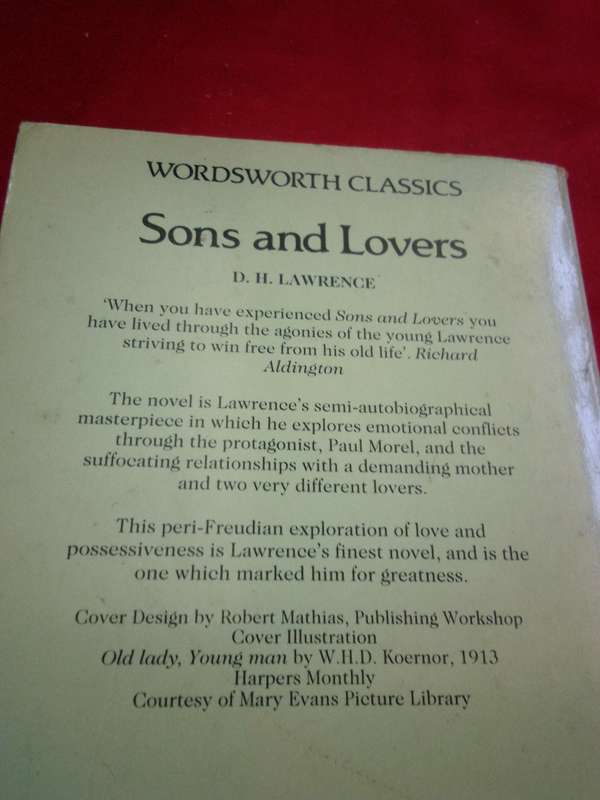Sons and Lovers - D.H. Lawrence 1993 Paperback