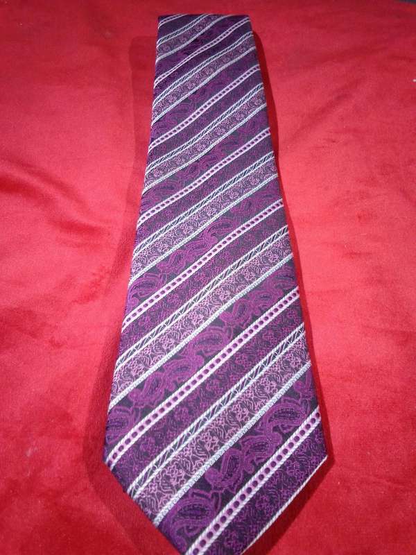 Pierre Cardin Full Length Tie