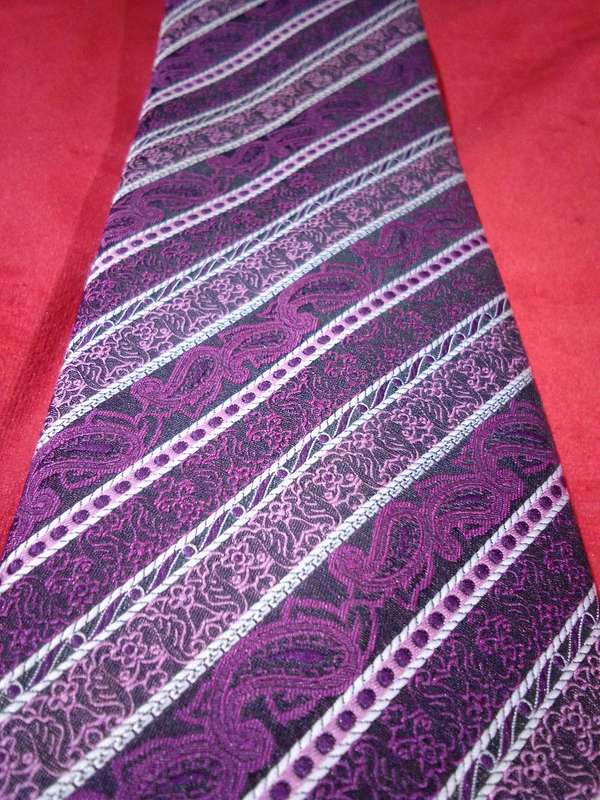 Pierre Cardin Full Length Tie