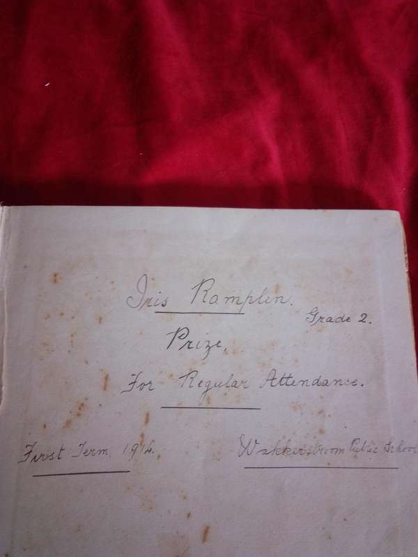 Rare 1914 Sunshine for Showery Days Hardcover