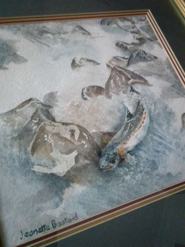 Stunning Watercolor 'Salmon swimming Upstream' Signed Jeanette Bastard