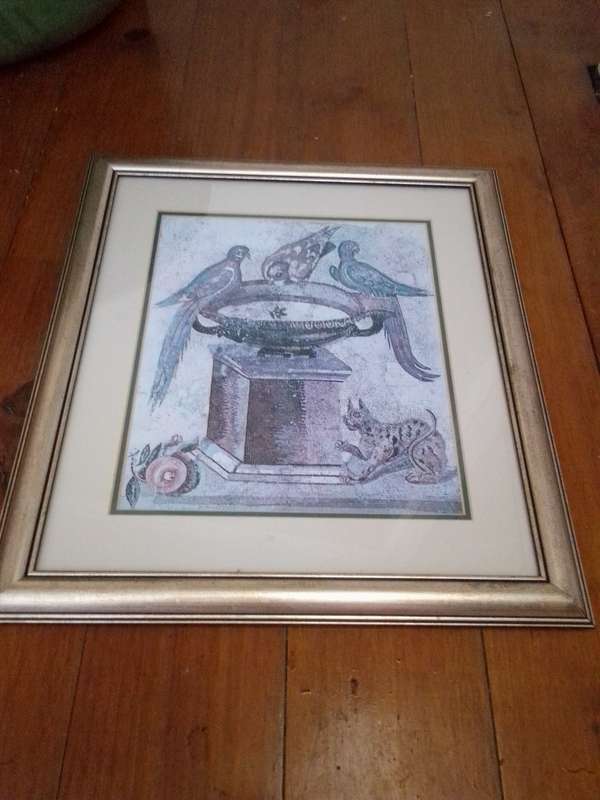 Stunning Framed Print of a mural 'Parrots & Dove' discovered in Pompei