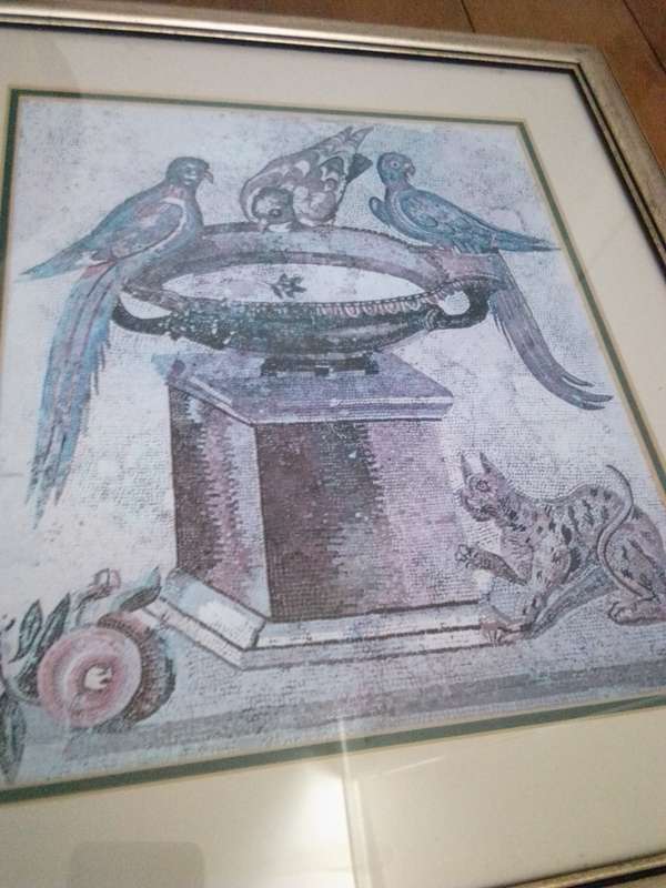 Stunning Framed Print of a mural 'Parrots & Dove' discovered in Pompei
