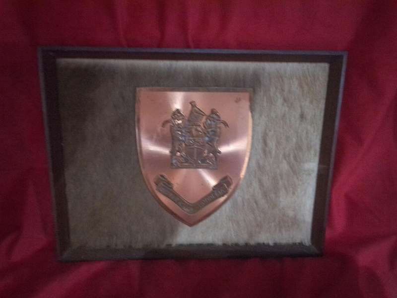 Vintage Framed Republic of Rhodesia Copper Plaque