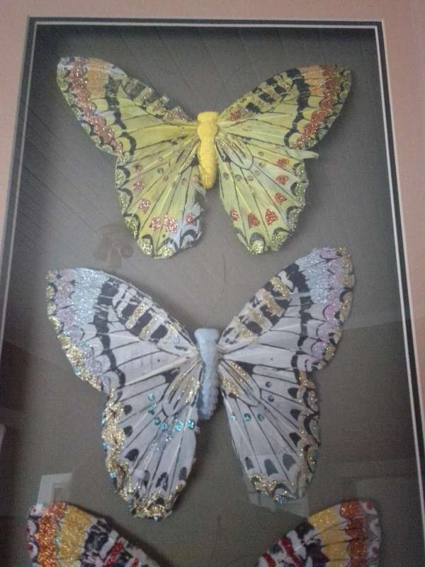 Beautiful Glass Framed Mixed Medium 'Butterflies'