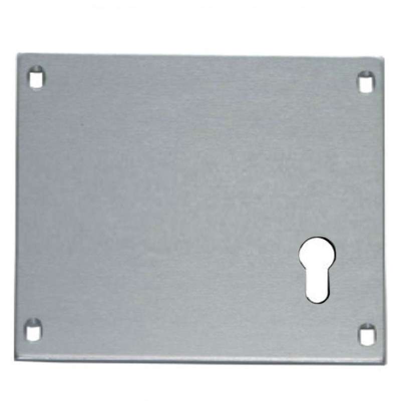 Union Push Plate 178mm Euro LH AS