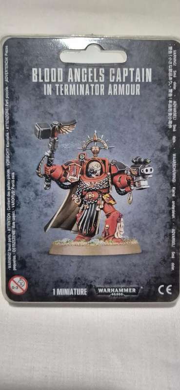 Warhammer 40k Blood Angels Captain In Terminator Armour