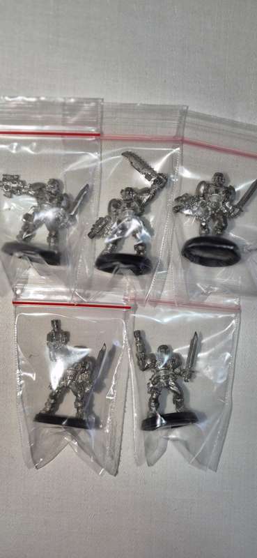 Warhammer 40k Space Marine Scouts Tabletop Model