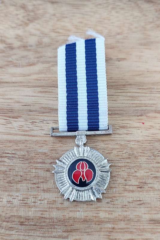# 1975 SADF Pro Merito Miniature Medal #