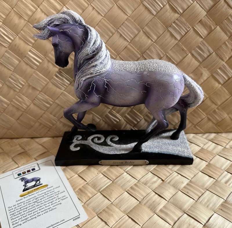 The Trail of Painted Ponies - Storm Rider