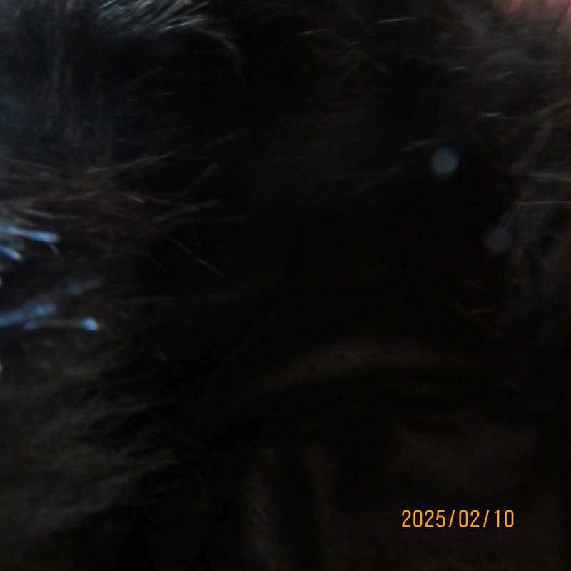 Luxury black faux fur Mongolian style hat with some stretch. Smart or casual wear. New item.
