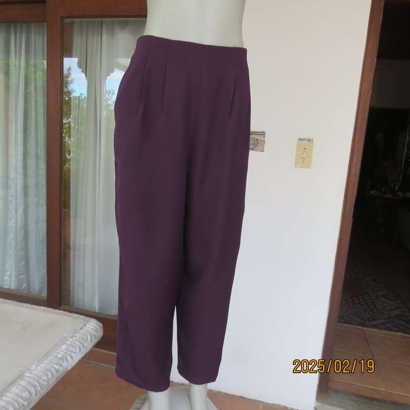 EXCEPTIONAL mulberry comfy dress pants. Bandless front. Pleats. Elasticated back. Size 42.As new