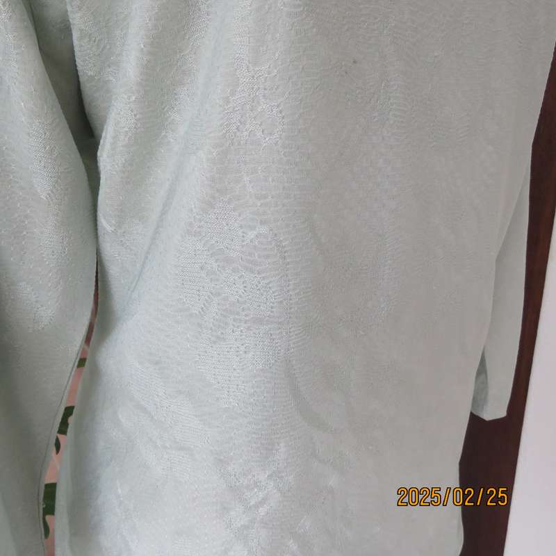 Fabulous pale mint green EXACT size 40 long sleeve slip over top in stretch textured polyester.