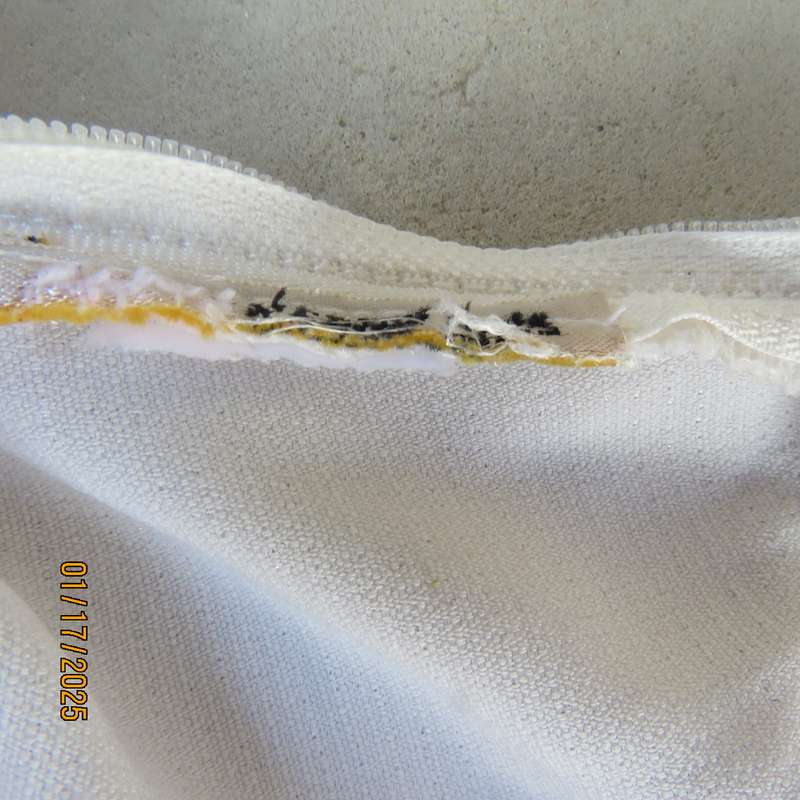 Amazing light cream dress pants with straight legs size 34. Narrow waistband. Zip at back. As new