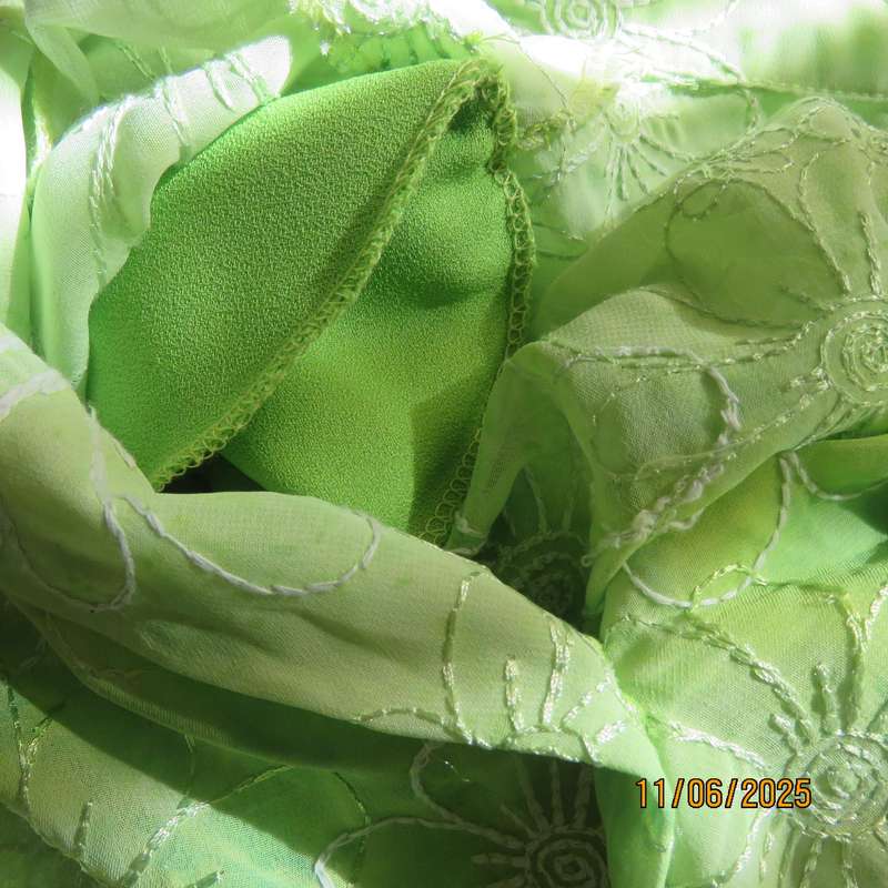 Extra long sheer floral embroidered top in shades of thyme green. Size 42.