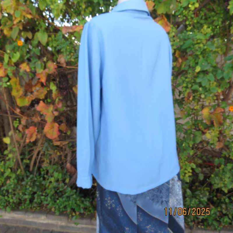 Skyblue boutique made long sleeve button down top. Tucked seams. Size 40