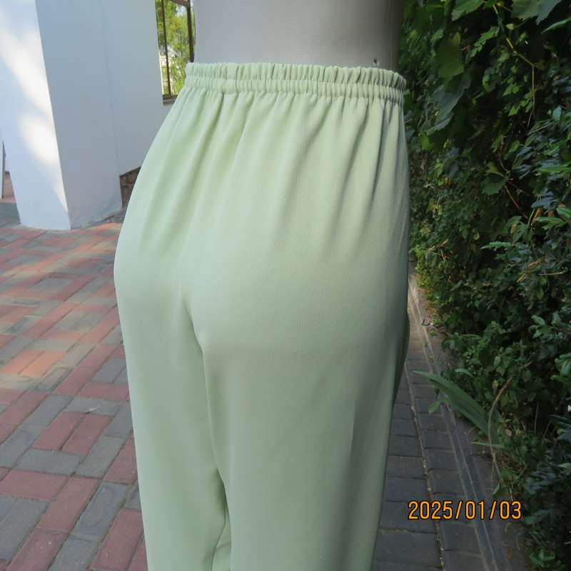 Pastel green dress pants with tapered legs. Flat front-elasticated back. Size 44. Firm textured poly