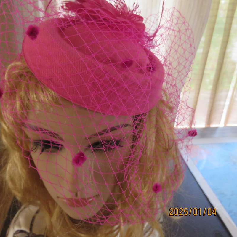 Magenta pink pillbox style fascinator.Netting on front.Flower and feathers. Thin satin alice band.