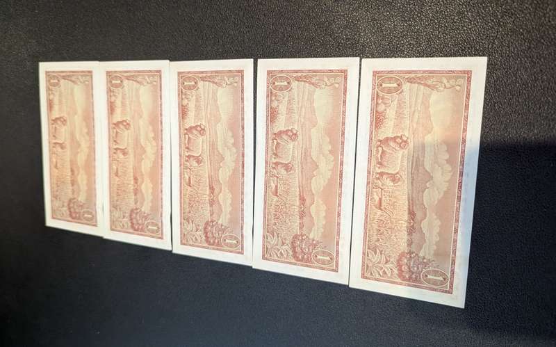 TW de Jongh - One Rand Banknotes - Consecutive numbers ( Lot of 5 )
