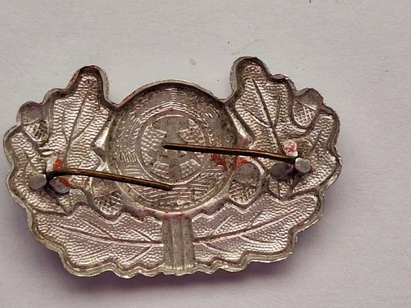 German Postal service and Fire volunteers cap badge