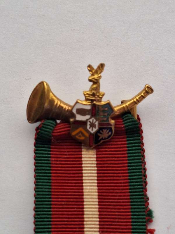 Vintage Ancient order of Foresters medal 1947