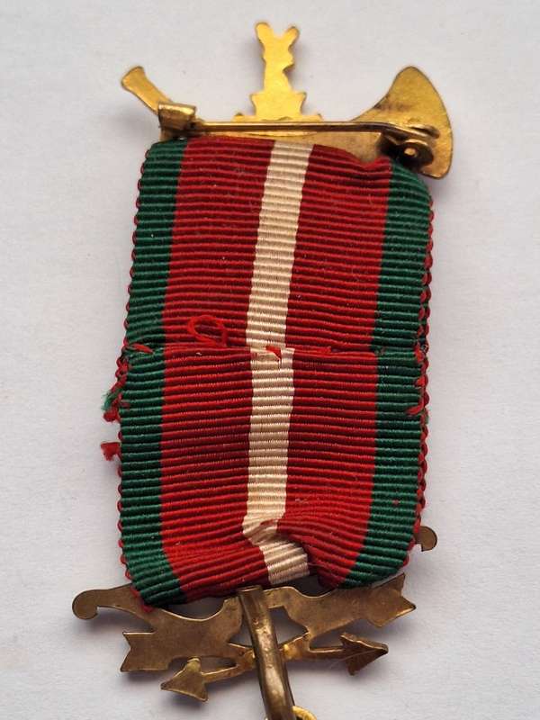 Vintage Ancient order of Foresters medal 1947