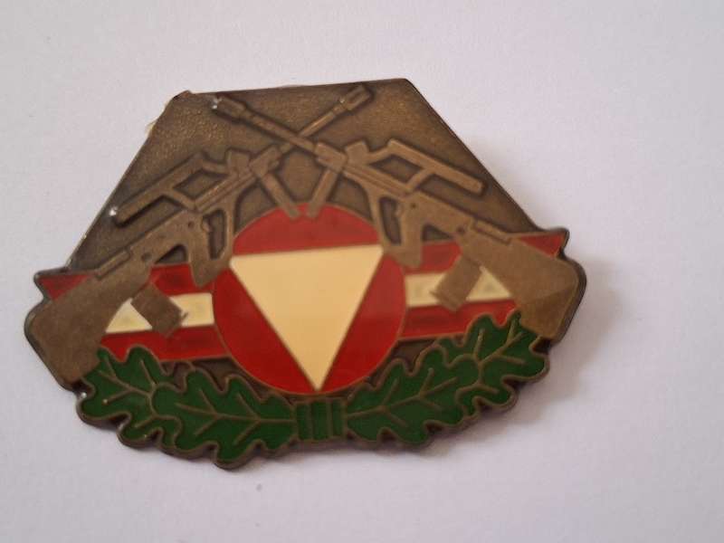 Austrian Army Combat service proficiency badge