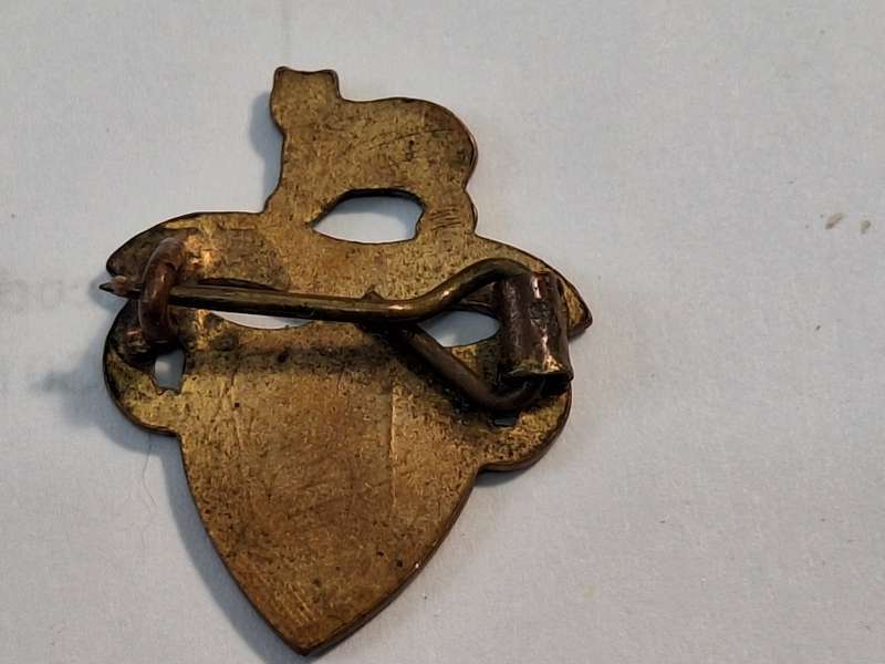Isle of Man souvenir pin