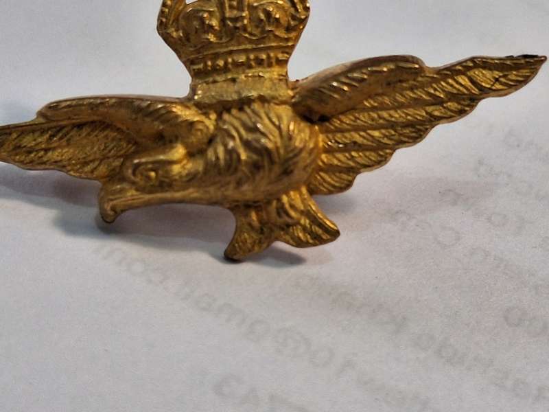 RAF Badge