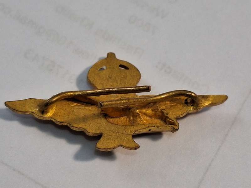RAF Badge