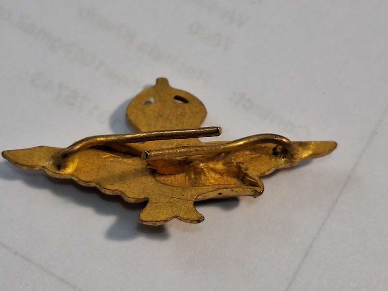 RAF Badge
