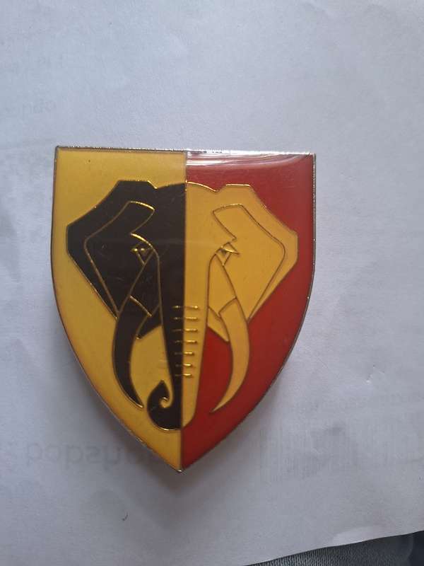 SWATF 33/107 Battalion flash, also called Eastern Caprivi Battalion