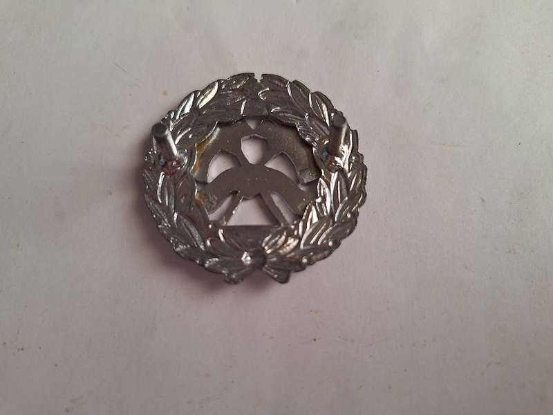 SA Fire Brigade badge