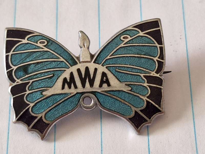 SA Moths Womens Association Enamel badge