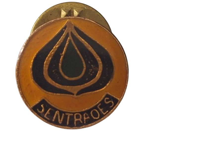 Vintage Sentra oes lapel pin
