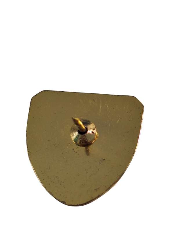 Vaticano lapel pin