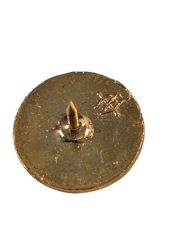 International police association lapel pin