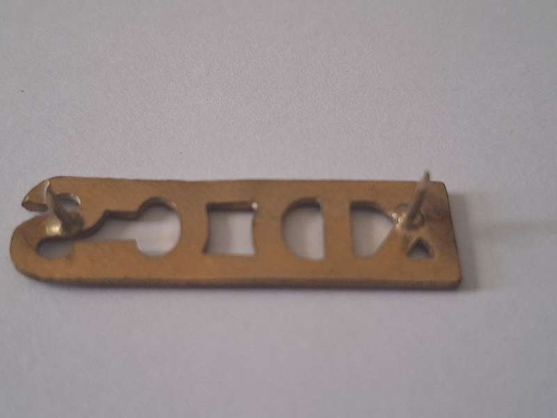Korrektiewe diens - Correctional service title badge